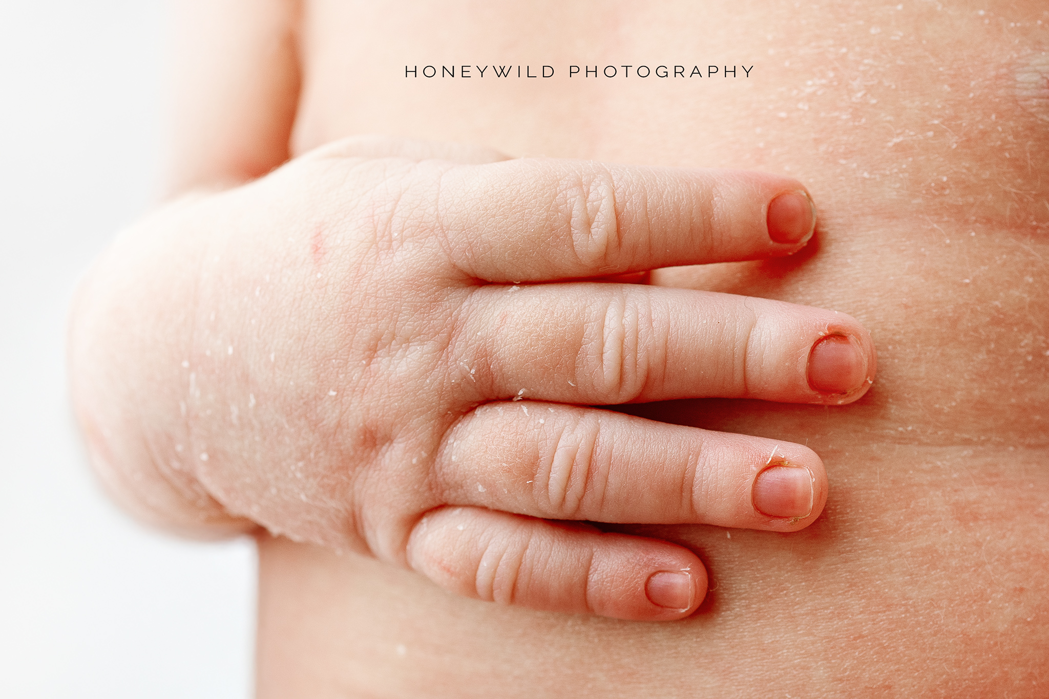 A close-up of a newborn’s tiny fingers curled in a gentle grip, photographed by a Grand Rapids newborn photographer.