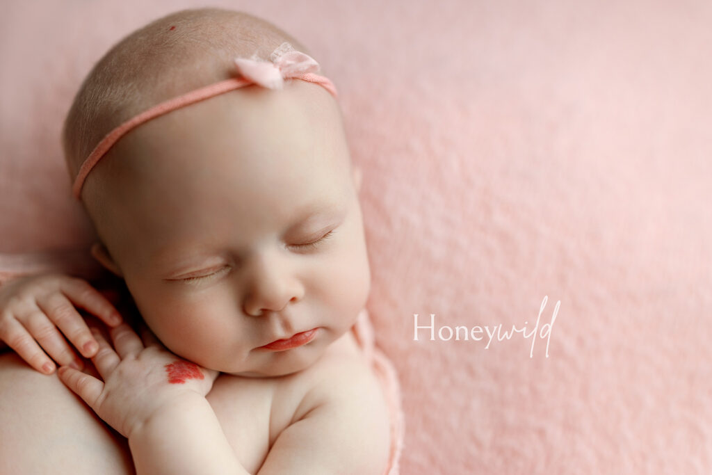 Newborn baby posed in a soft pink wrap at Honeywild Photography a studio newborn photographer in Grand Rapids and West Michigan