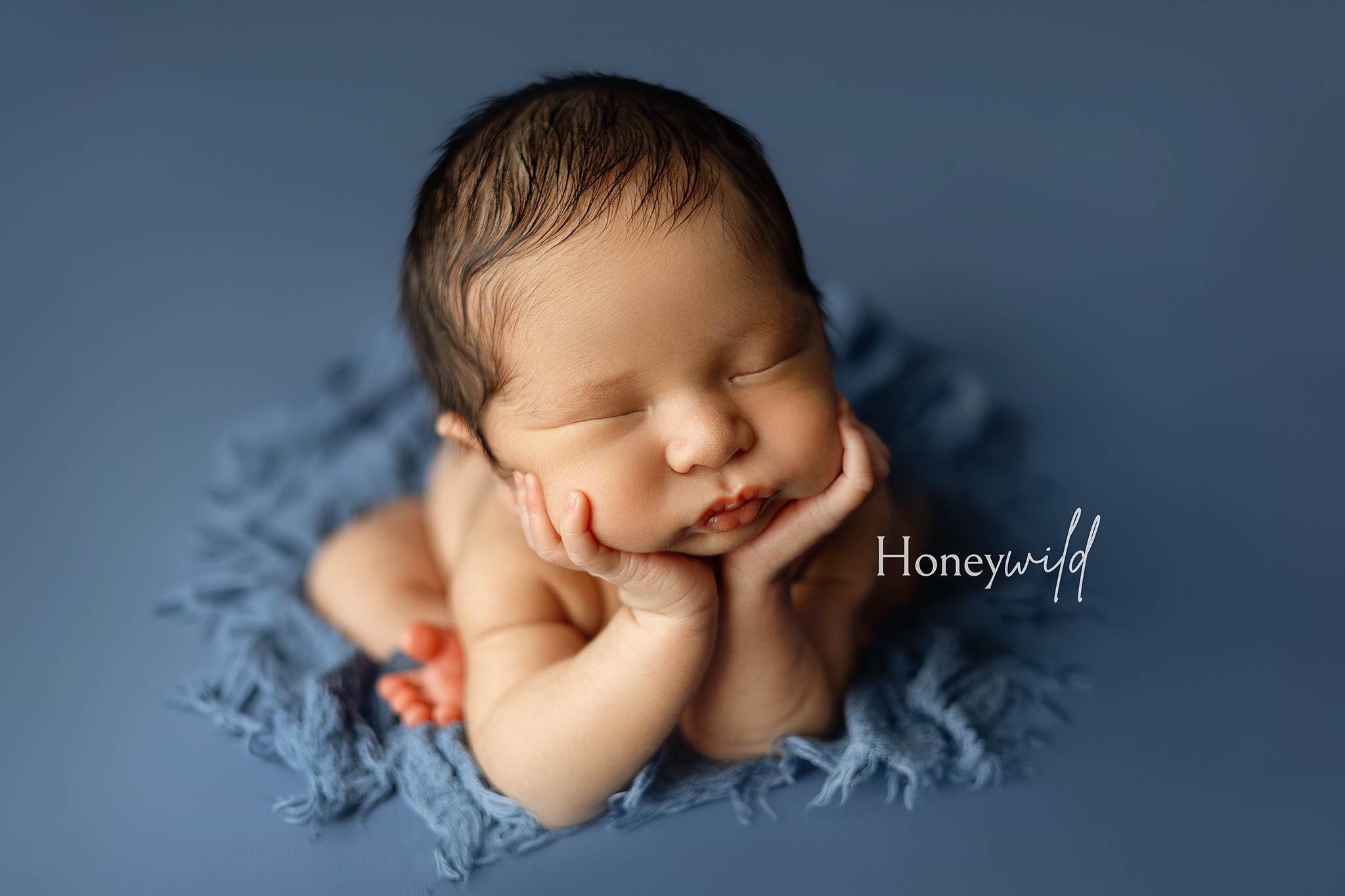 Posed newborn in froggy position on a blue textured backdrop at Honeywild Photography a studio newborn photographer in Grand Rapids Michigan